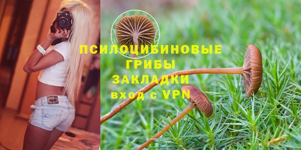 гидропоника Осташков