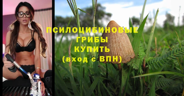 бошки Алексин